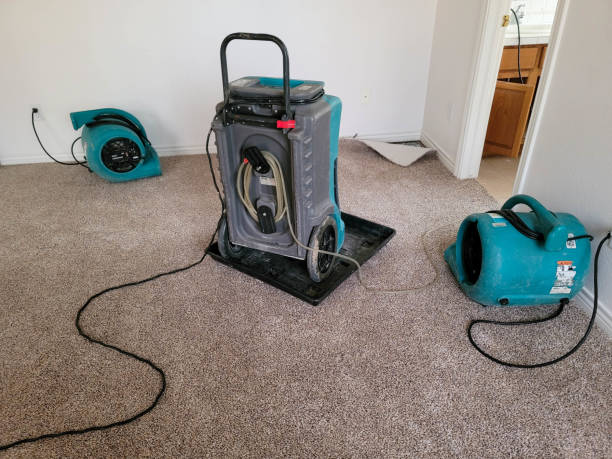 Best Water damage restoration company  in Ishpeng, MI