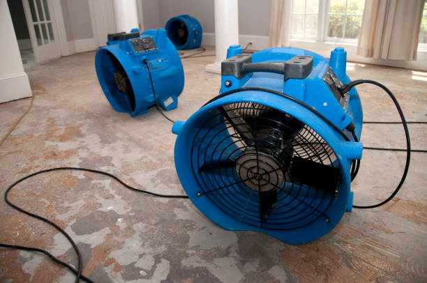 Best Residential water damage restoration  in Ishpeng, MI