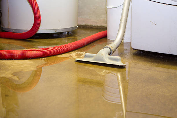 Best Water damage restoration insurance claims  in Ishpeng, MI