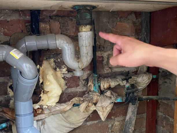 Best Professional water damage repair  in Ishpeng, MI
