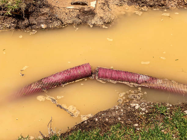 Best Water damage restoration specialists  in Ishpeng, MI