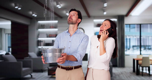 Best Local water damage restoration  in Ishpeng, MI